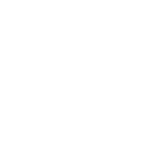 Don't Be A Dumb Bass