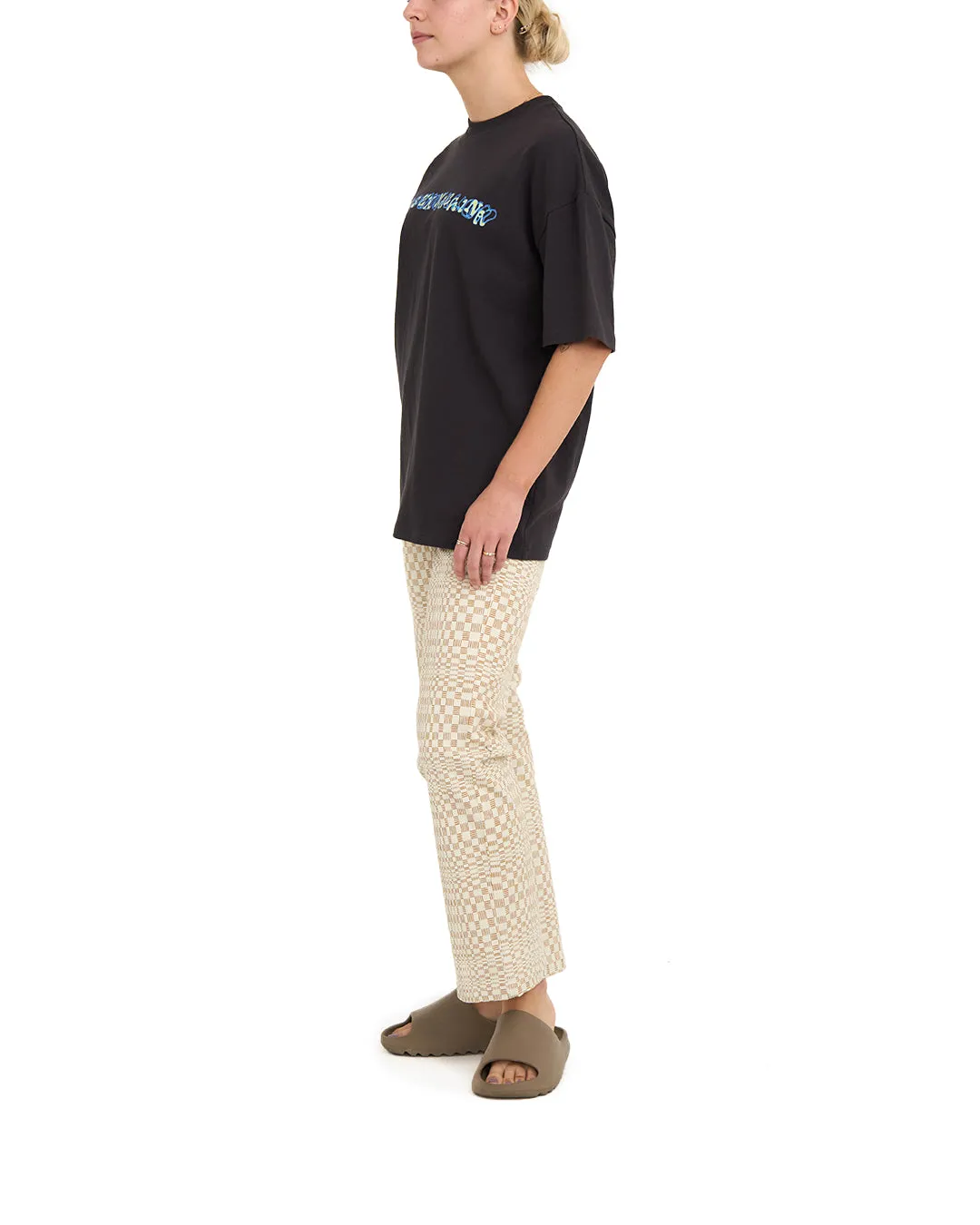 Dxw Fungus Tee - Anthracite