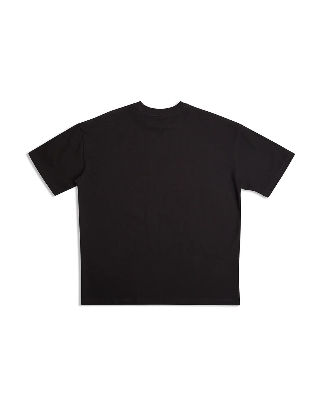 Dxw Fungus Tee - Anthracite