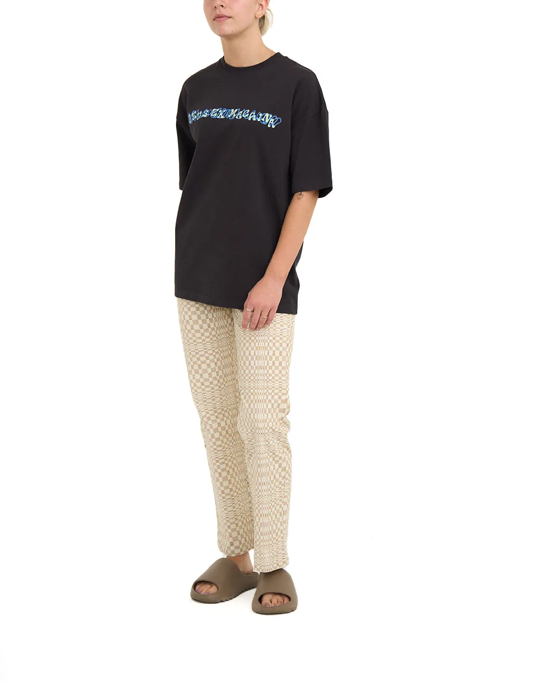 Dxw Fungus Tee - Anthracite
